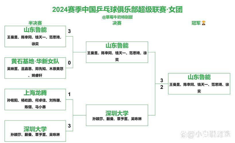 乒超联赛女团决赛：深圳大学以3-1战胜山东鲁能夺得冠军